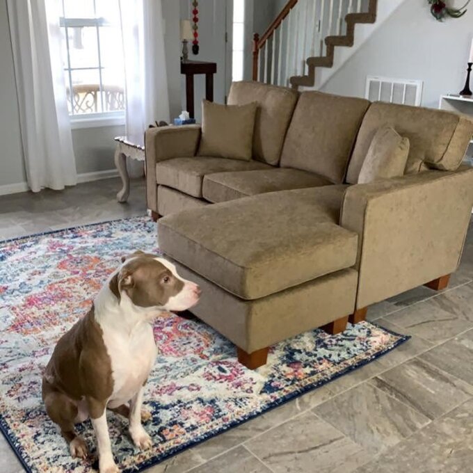 【Furniture】Kehlani 2 - Piece Upholstered Chaise Sectional